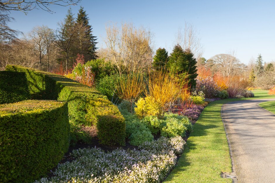 We recently commissioned a study which highlighted that more than half of adults consider themselves to be lonely because they are too busy or shy to socialise with others. As today is #MakeAFriendDay, we’ll be highlighting the ways gardening can help with loneliness 🌿