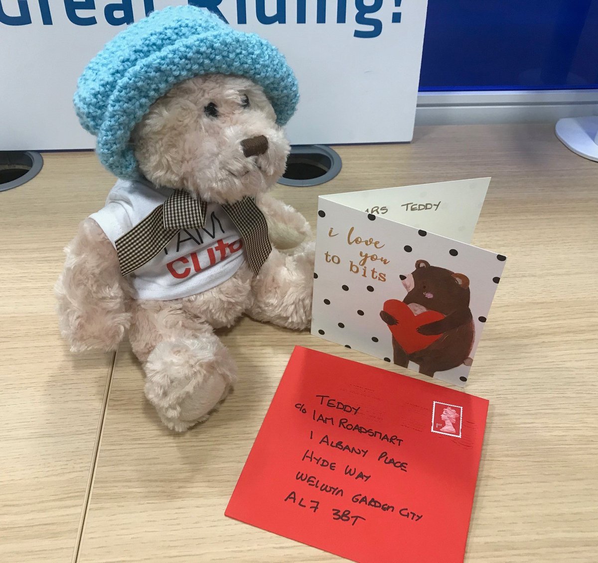Edward T Bear (Teddy) 🧸 🍰 🚙 (@Edward_T_Bear) / Posts / X