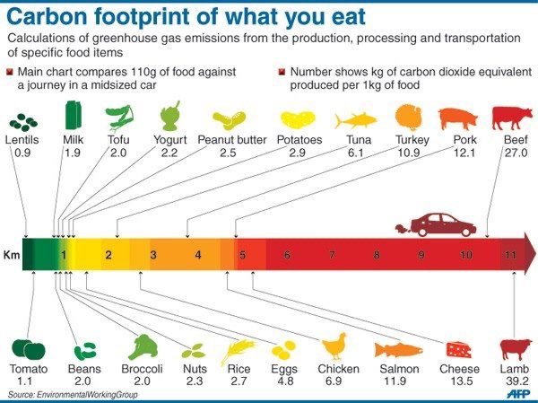 As of the new year I’m not eating meat (I still eat fish). I’m doing this for the environment, and I urge you to take look at this chart to see how harmful different foods are.