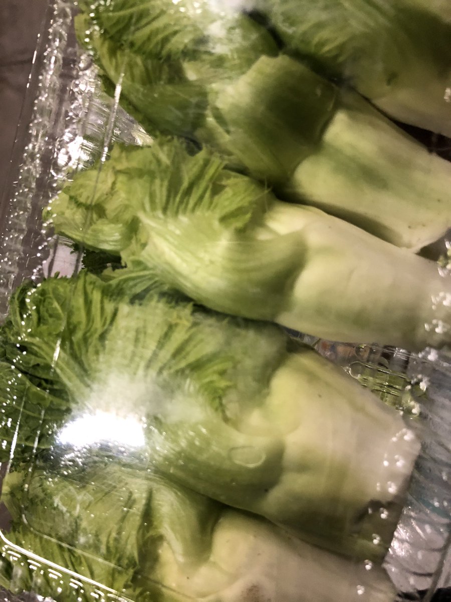 蕾菜