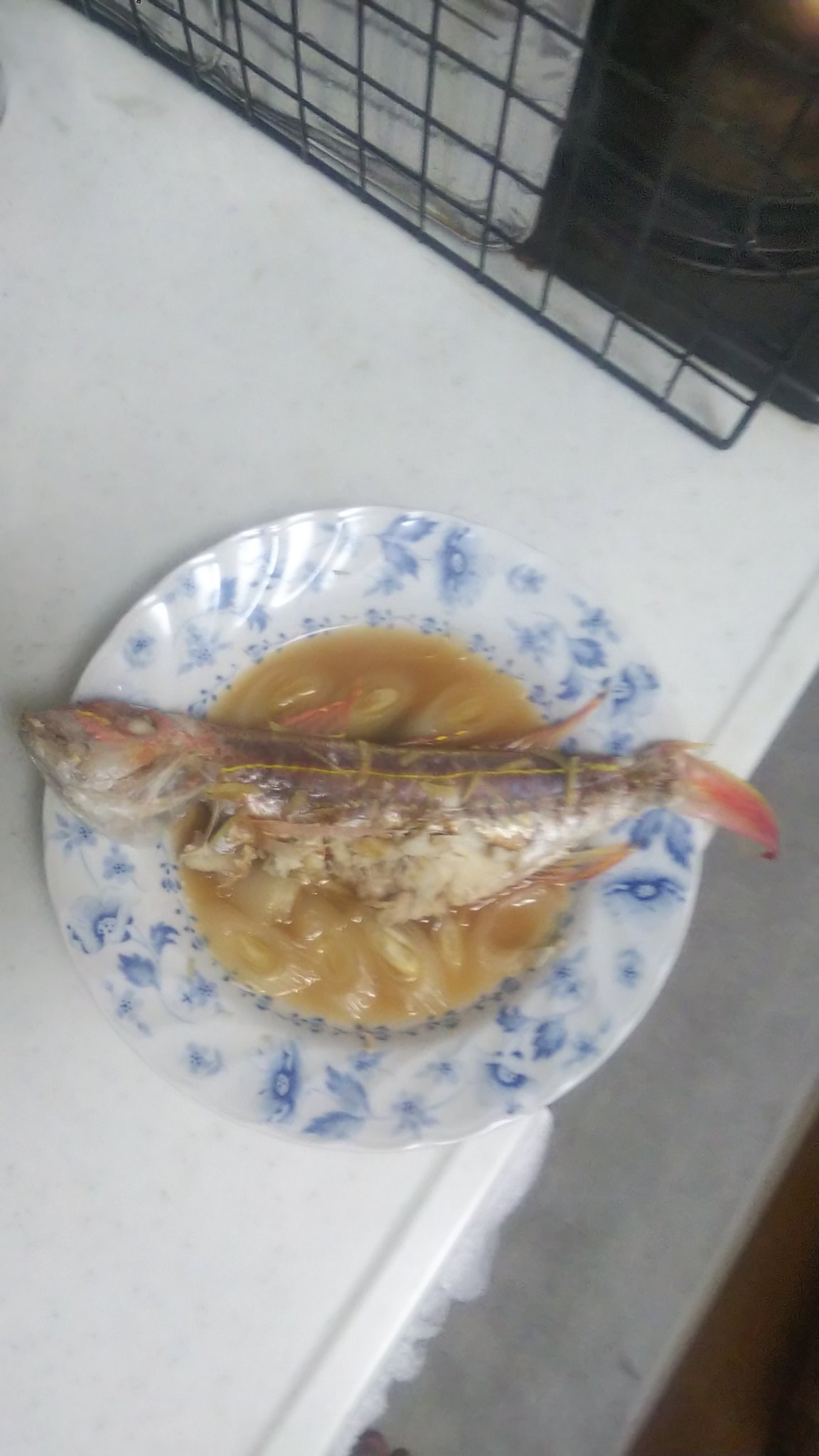 イトヨリ酒蒸し Twitter Search Twitter