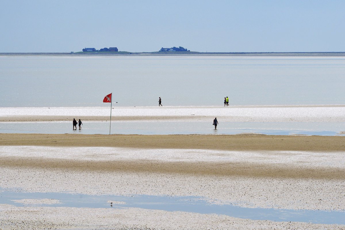 GermanyinOman's tweet photo. This #traveltuesday, we are heading northwest to 🇩🇪 2nd largest state - Lower Saxony. Historic cities, the peaceful Wadden Sea and green parks🌳make you want to visit this beautiful place. Here are #threereasons for a visit: 

https://t.co/2i7bhlVWQb 

📸©️: dpa/picture alliance https://t.co/s3DwgoGLBH