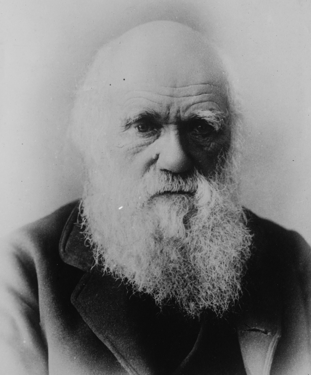 patterson.travel tweet media