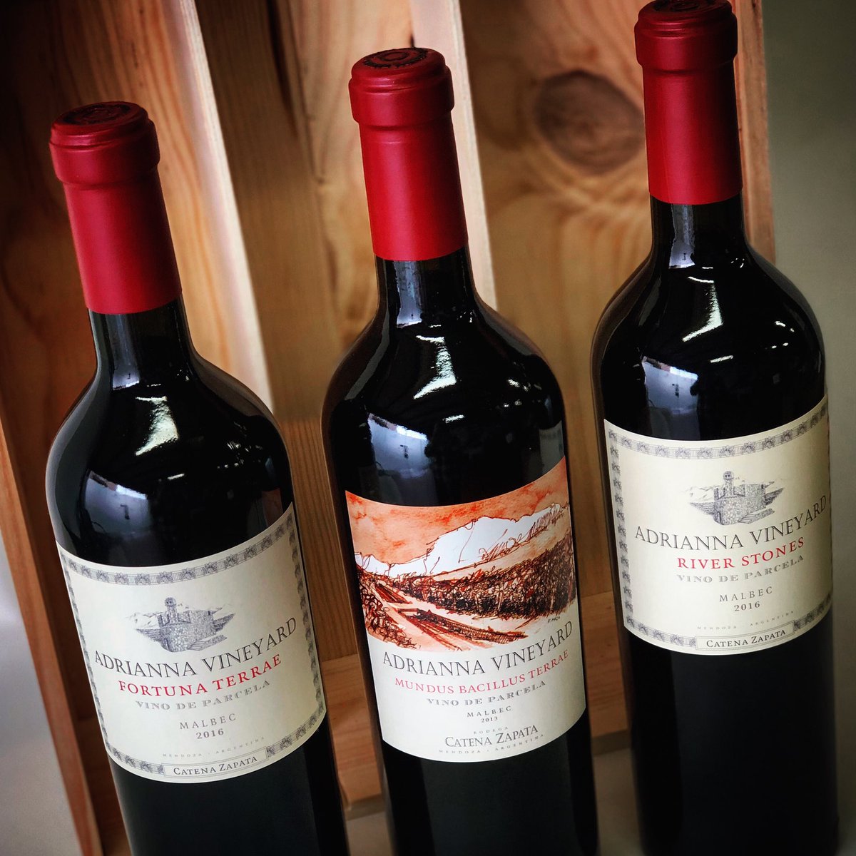 Homenaje al #AdriannaVineyard “El origen de la fama”. 3 grandes vinos que hacen honor a este gran viñedo de altura de @CatenaMalbec. Surtido disponible en aponticia.es #vino #wine #malbecargentino #winelover #argentina