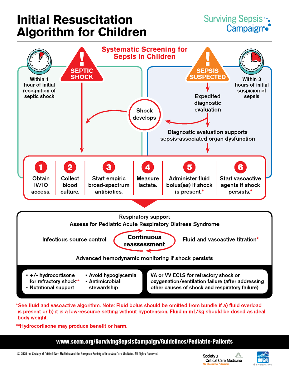 PedCritCareMed's tweet photo. In case you missed it!-spread the word!

The long-awaited Int'l #Pediatric #Sepsis Guidelines are out &amp; FREE for download! #FOAMed #FOAMcc #FOAMPeds #PedsICU

Executive Summary: https://t.co/L2rVIHTcds

Full Guidelines:  https://t.co/dvmDK30iDC

Podcast: https://t.co/bB9LxSytiZ https://t.co/aifnKtRxy0
