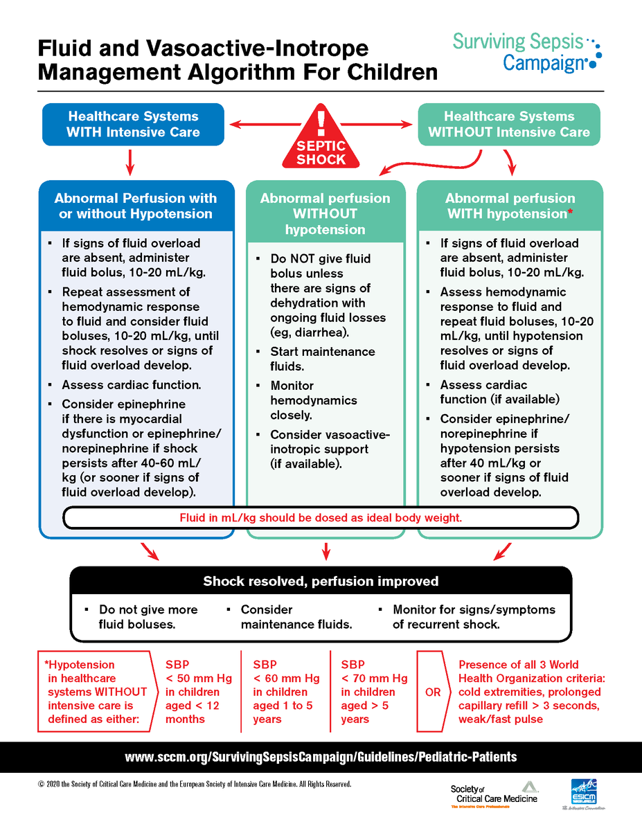 PedCritCareMed's tweet photo. In case you missed it!-spread the word!

The long-awaited Int'l #Pediatric #Sepsis Guidelines are out &amp; FREE for download! #FOAMed #FOAMcc #FOAMPeds #PedsICU

Executive Summary: https://t.co/L2rVIHTcds

Full Guidelines:  https://t.co/dvmDK30iDC

Podcast: https://t.co/bB9LxSytiZ https://t.co/aifnKtRxy0