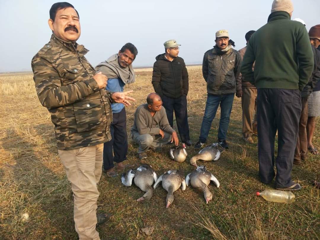 hemajitphukon's tweet photo. #Assam is a great place, lots of Migratory bird's life depends on the environment of Assam.But few so called human being used to give poison to the food of migratory bird's & killed them every year.
@GlobalGoalsUN @UNEP @IPBES #NEFoundation @ErikSolheim @deespeak @antonioguterres https://t.co/oZgqaweOZN