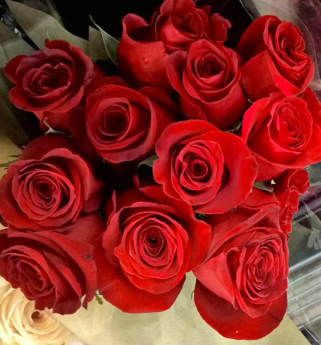 Lisa Taylor tweet media