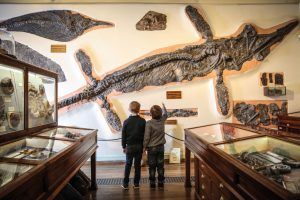 Do you have a favourite museum object? The eight-metre long crayon at the Derwent Pencil Museum, Cumbria, maybe? The ichthyosaurus at the <a href="/WhitbyMuseum/">Whitby Museum</a>?  the over-stuffed walrus at the <a href="/HornimanMuseum/">Horniman Museum and Gardens</a> in south-east London? bit.ly/2udaTI5 <a href="/aguidetolondon/">Sophie Campbell</a> <a href="/derwentart/">Derwent Art</a>