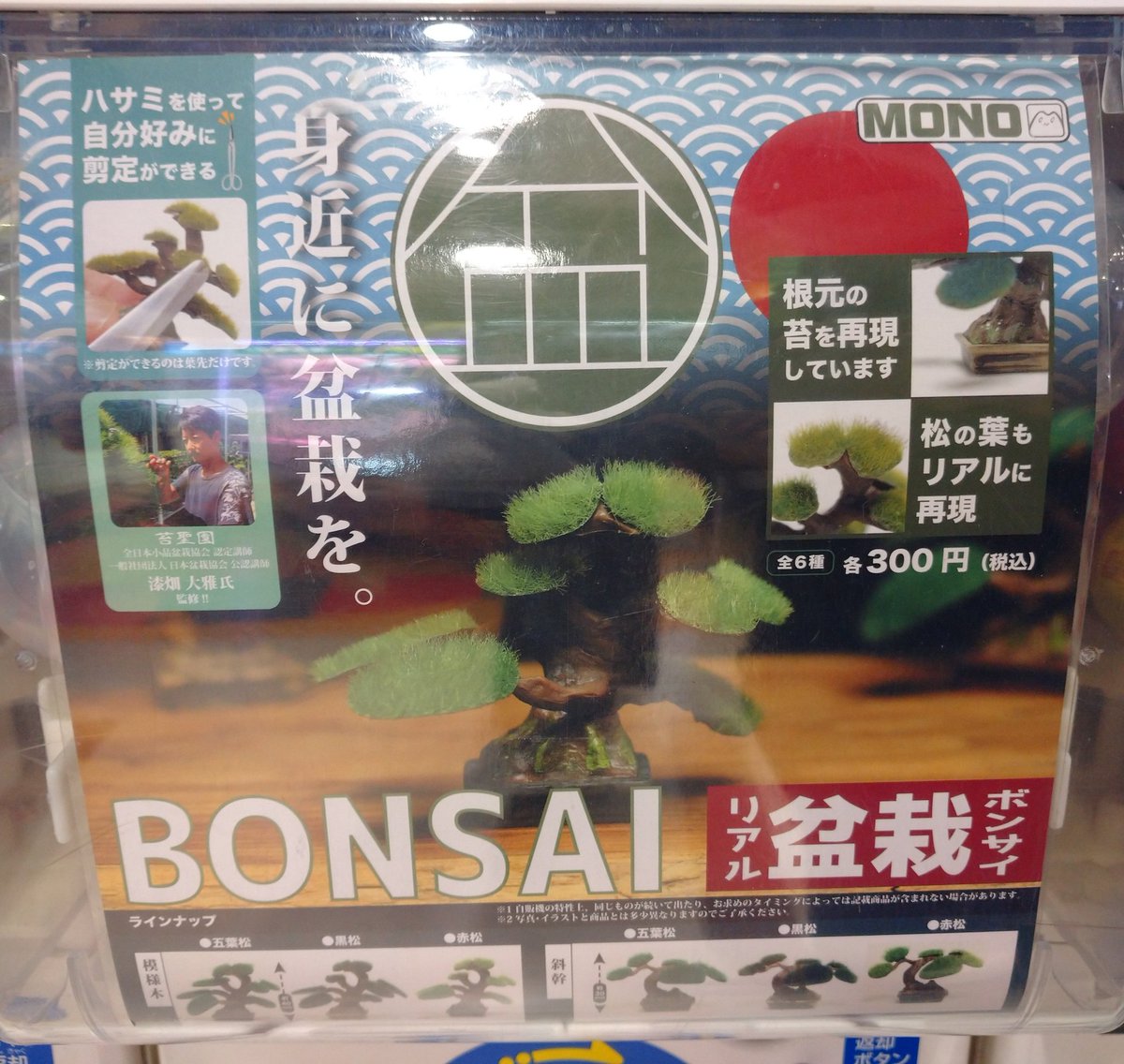 リアル盆栽 リアル盆栽