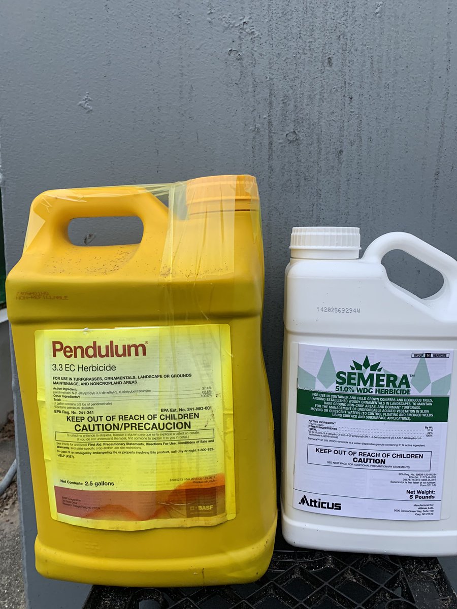 Dan Saber CGCS tweet media