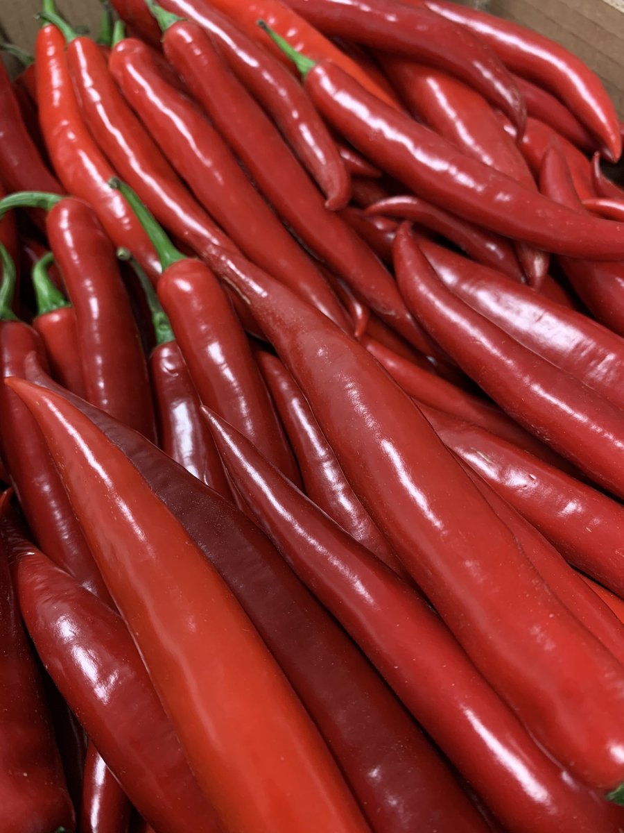 Lovely selection in the fridge this afternoon #howfresh