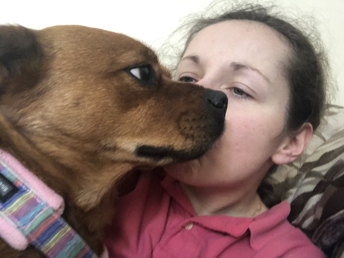 Kisses and loves with Mum. Just so everyone knows, I am on Instagram - Daisy_the_PAT_Dog   Please follow everyone! #patdog #therapydog #furbaby #cuddles