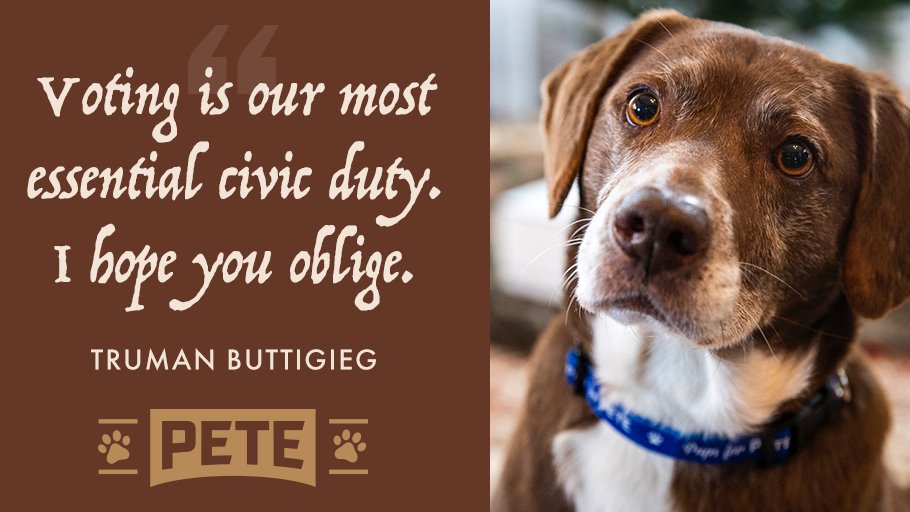 wintheera's tweet photo. Truman wishes you well on your way to the polls: https://t.co/5chGXiu8NZ https://t.co/UP7vMTPPiK