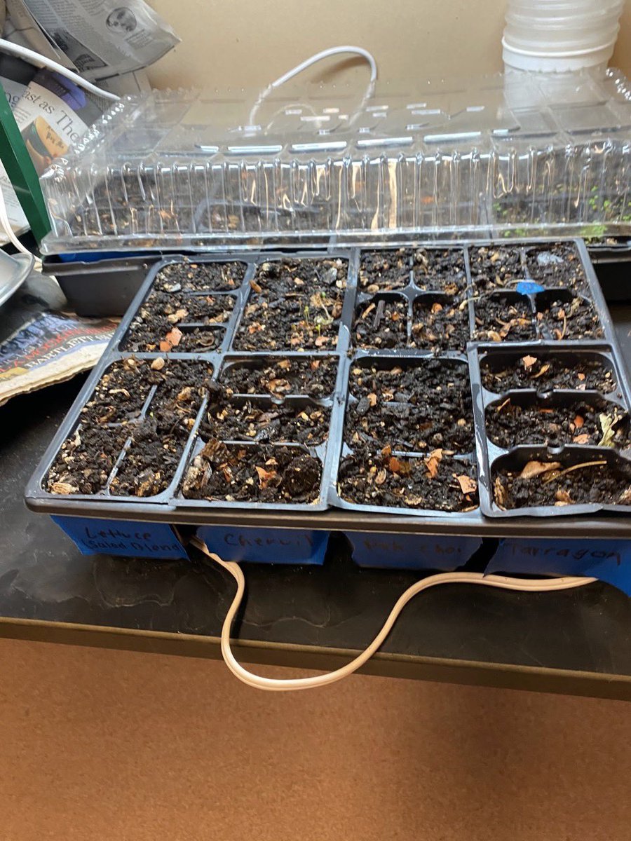 AffinityNYCDOE tweet media