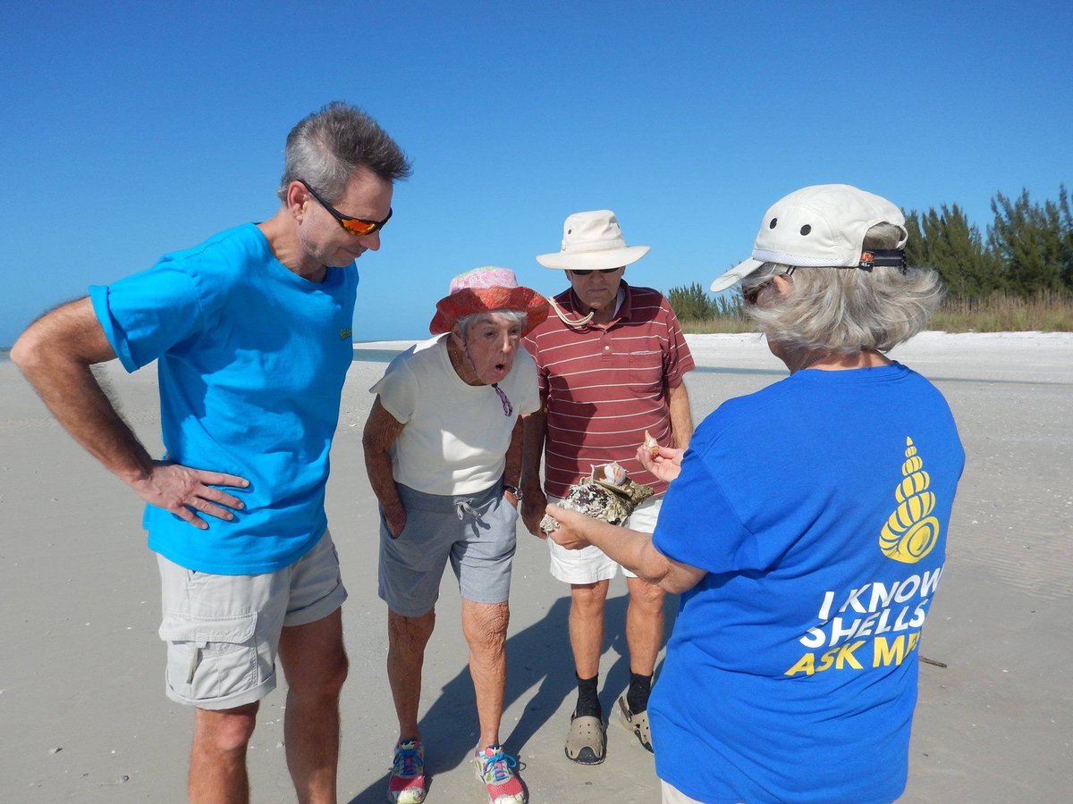 ShellMuseum's tweet image. A1: Finding amazing seashell treasures, right here in plain sight — if you look hard enough! And you’ll love meeting the living mollusks that create them at our #ShellMuseum. That’s why we 💗 Florida! #FLTravelChat
