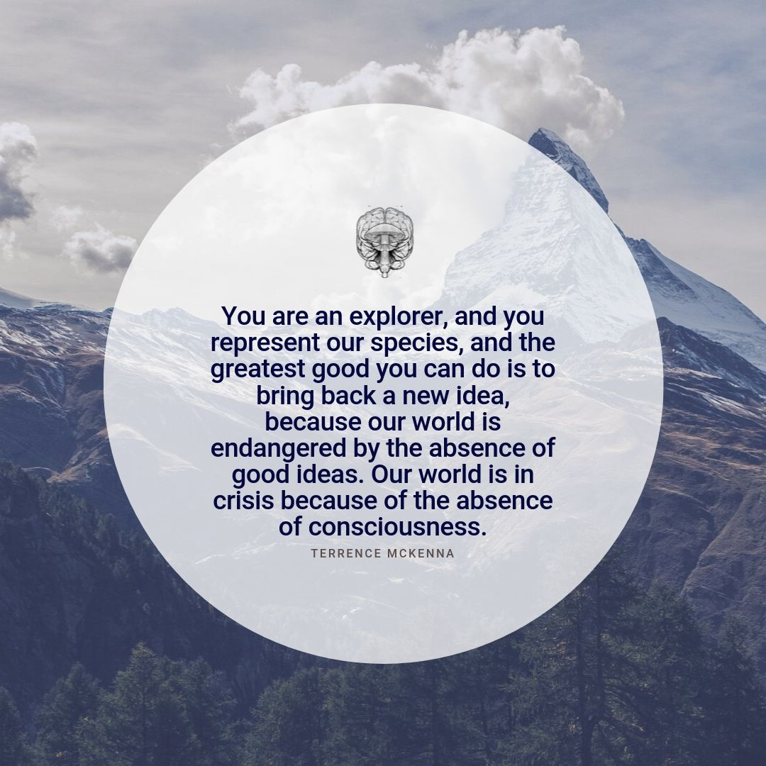 CATALYST Presents Legacy Account tweet media