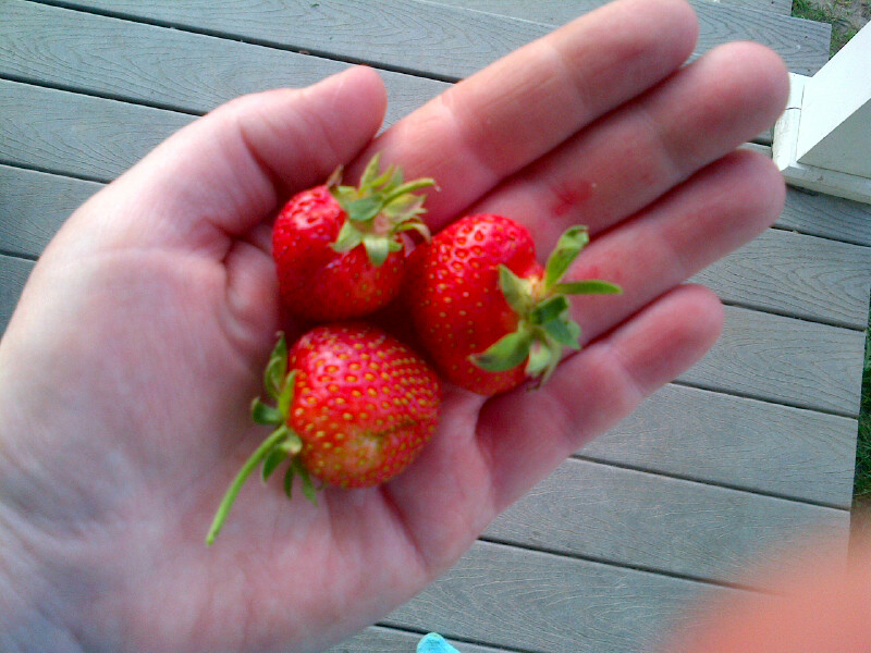 Our family is blessed to be a part of the Canadian Agriculture story. We love what we do. <a href="/riverrunfarms/">RiverRun Farms</a>