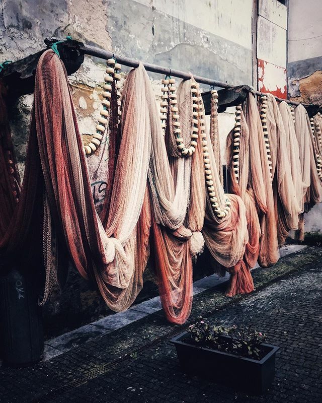 dacil_fernandez's tweet photo. 🌬“LA NADA”🌬
.
Siempre digo que los que nos dedicamos a la fotografía gastronómica, cada vez que comenzamos una nueva sesión de fotos, nos enfrentamos a la nada más absoluta...🤯
.
Me explico. Un fotógrafo de eventos o de paisajes tiene como misión ser… https://t.co/BUx4VUMsV6 https://t.co/DyC6VCpMBt