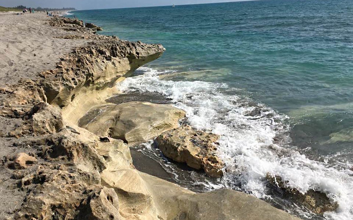 DiscoverMartin's tweet image. A3: It's hard to pick a favorite, but one exceptional Florida beach is Blowing Rocks Preserve on #JupiterIsland. Between the crashing waves (that reach up to 50 feet in the air) and its extensive limestone coast, it's truly a sight to behold #FLTravelChat #DiscoverMartin