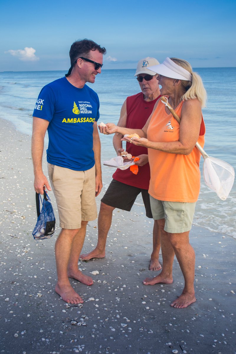ShellMuseum's tweet image. A3: We’re pretty partial to the world’s best shelling beaches here on #Sanibel! Our beaches are exquisite – so many shells. Let our experts share these marvels with you on a daily beach walk from @IslandInn beachfront! #ShellMuseum #FortMyersSanibel #FLTravelChat