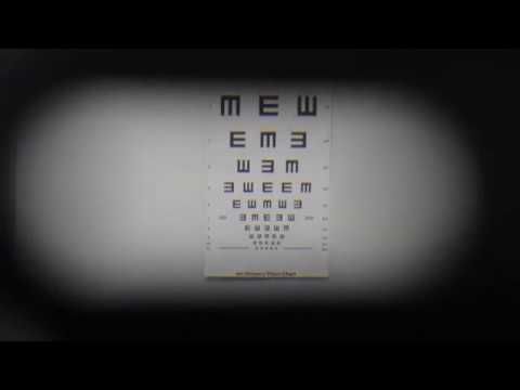 Global Vision 2020 tweet media