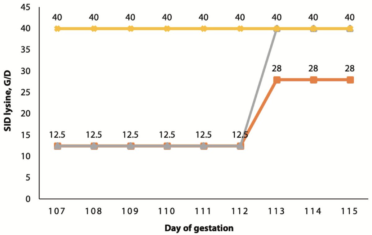 KStateAgRsch's tweet image. Providing high Lysine and energy intake from day 113 of gestation increased pre-weaning piglet survival in sows in a recent @KSUASI study. Check out the full research report at: newprairiepress.org/kaesrr/vol5/is… @KStateRschExtn