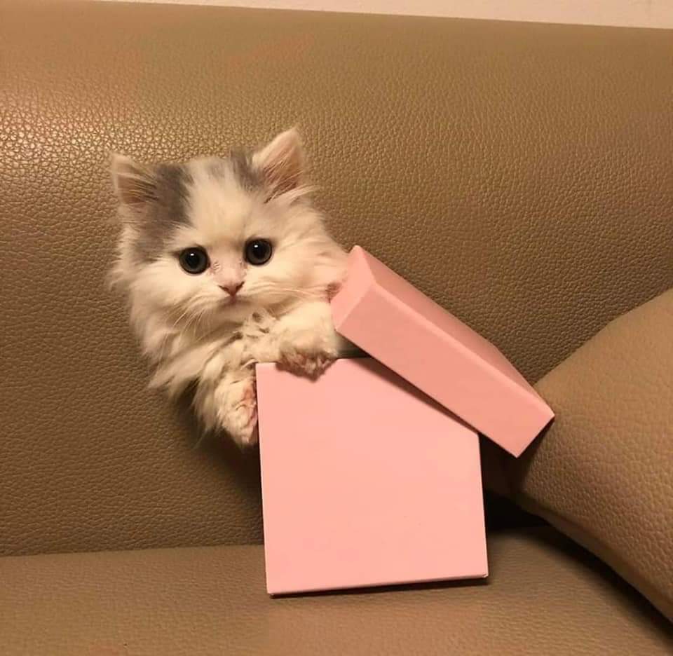 الهدايا كما يجب ان تكون ❤