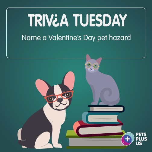PetsPlusUsIns's tweet photo. #Win a $25 PetSmart GC! Answer the question &amp; RT to enter our #TriviaTuesday Giveaway. Open to CND residents only. Contest ends at 11:59PM EST. Note, this contest is in no way sponsored, endorsed or administered by, or associated with, Facebook, Instagram and/or Twitter. https://t.co/M9u4x777LJ
