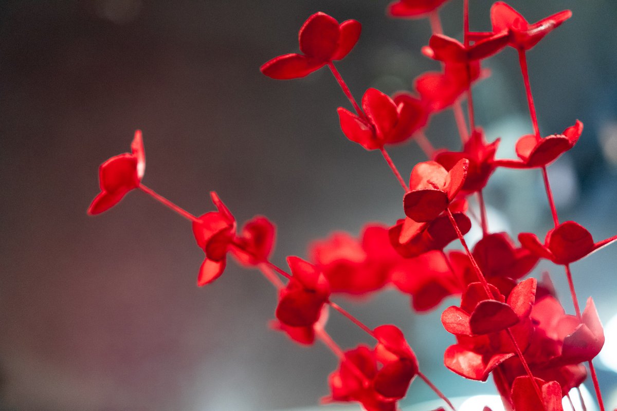 TreehouseG's tweet image. Bubbles and bouquets. 💐 Create a bouquet that lasts a lifetime. Our unique and colorful foam flowers will be on sale all weekend. Shop Thursday - Sunday and sip on complimentary champagne for our Valentine’s Day Sale!⁣ #treehousegallery #treehousegalleryfurniture #stpetefl