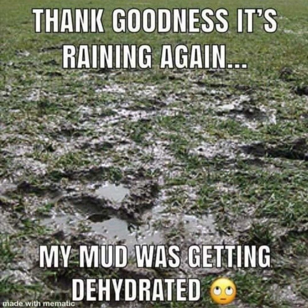 EHS_Studio154 tweet media