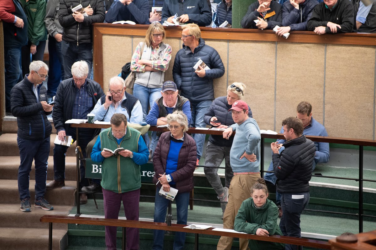 "I was staggered by the number of buyers around the ring" 

David Minton, Highflyer Bloodstock at Land Rover 2019

Nominate now for Goffs Land Rover Sale 2020: bit.ly/2vaIgex