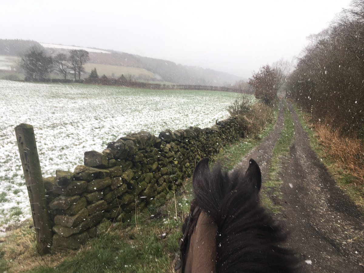 wardlee__'s tweet image. 2 pictures, 1 day #britishweather #springhasnotsprung