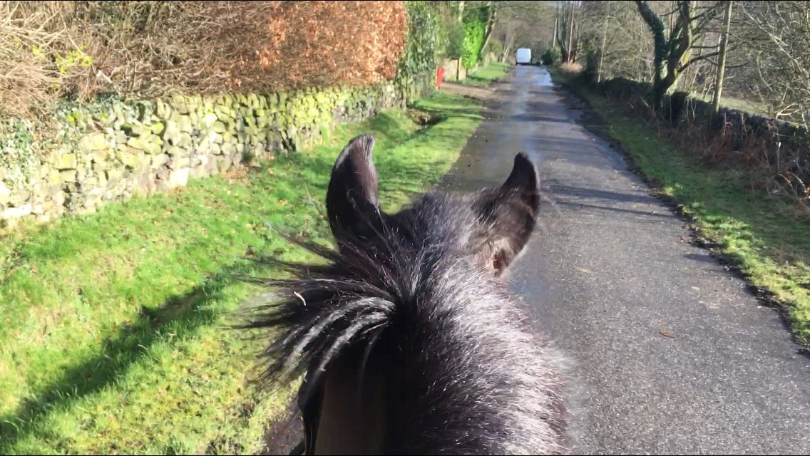 wardlee__'s tweet image. 2 pictures, 1 day #britishweather #springhasnotsprung