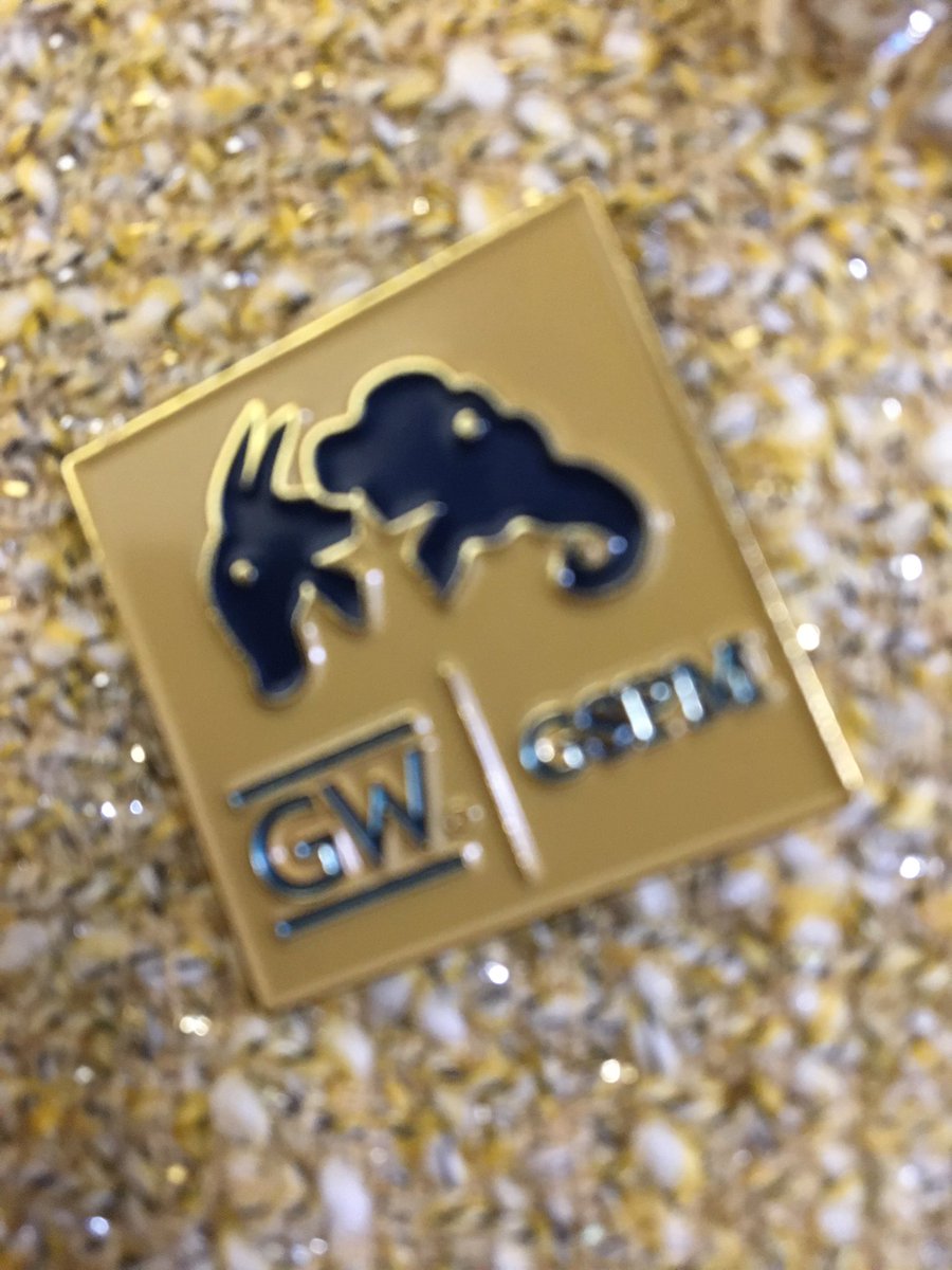 LaraMBrownPhD's tweet photo. Hello, @GSPMgwu alumni and students— it is PIN Day!! Show your GW/GSPM pride! It’s an Election Day! Also, if you’re in DC and have time to swing by GSPM, please do so — we have bagels and coffee and alumni directories! #onlyatGW #onlyatGSPM https://t.co/Bec8ObdC4k