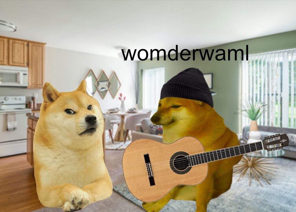 EQgELKOVAAID6tE?format=jpg&name=medium