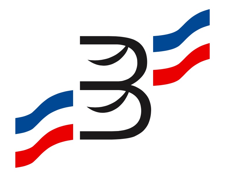 Un "Boulanger de France" c’est un artisan dont les méthodes sont issues d’un savoir-faire séculaire. En panification, il respecte un pétrissage peu intense et une fermentation lente. #boulangerieartisanale En savoir plus : boulangerdefrance.org