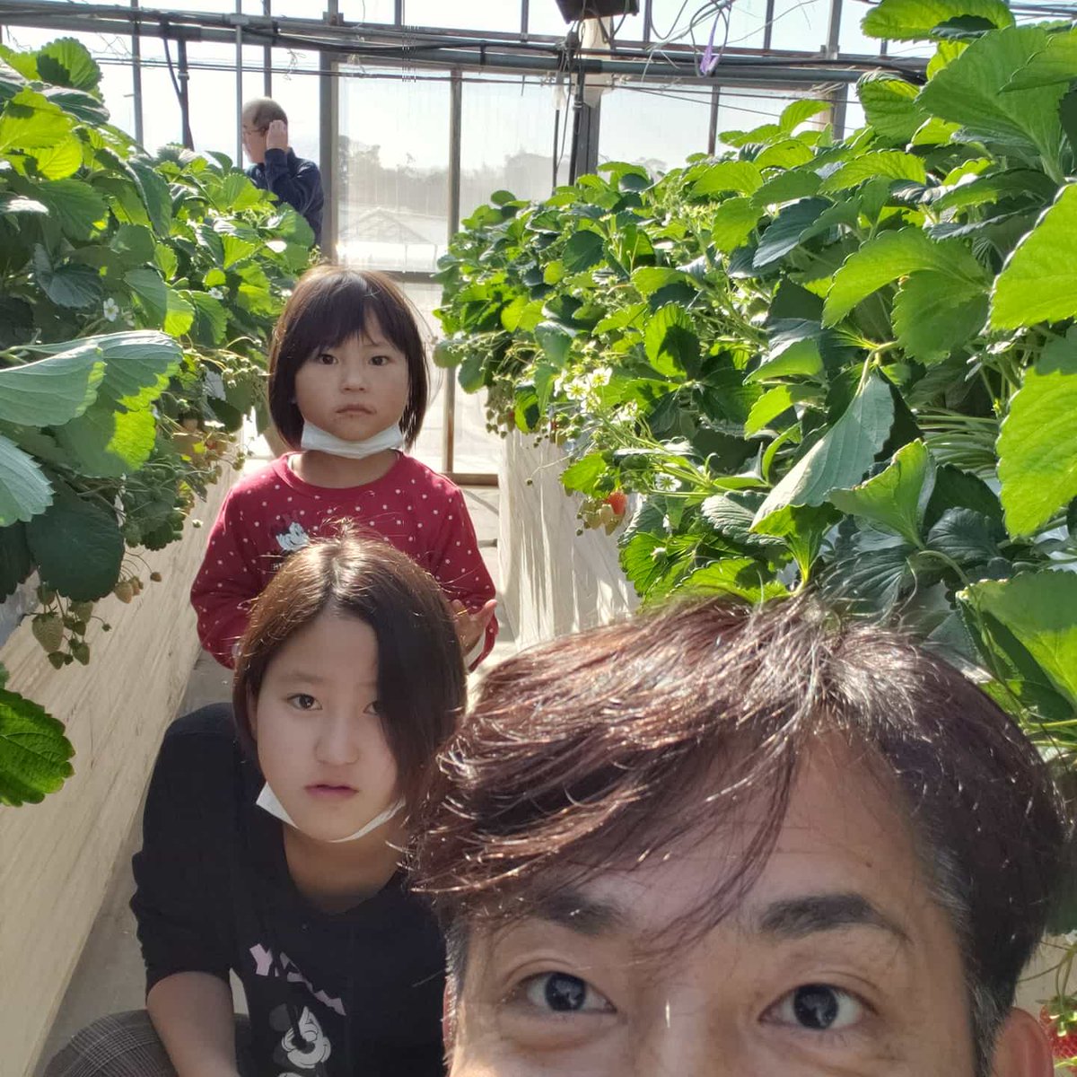 いちごはうす西脇