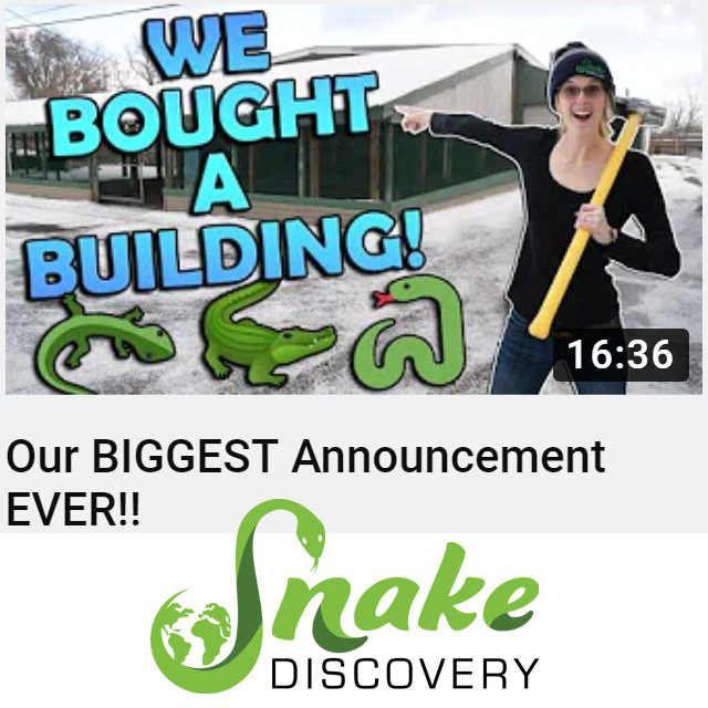 Congratulations to Emily and Ed from Snake Discovery on their exciting new plans!

We are honored to work with such great ambassadors for our industry and have lots of amazing displays planned for their reptile zoo.

youtube.com/watch?v=sxkn1Y…

#reptilezoo #maximumreptile #reptiles