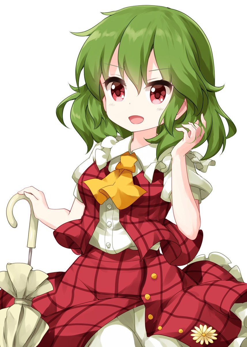 kazami yuuka 1girl solo green hair ascot skirt red eyes umbrella  illustration images