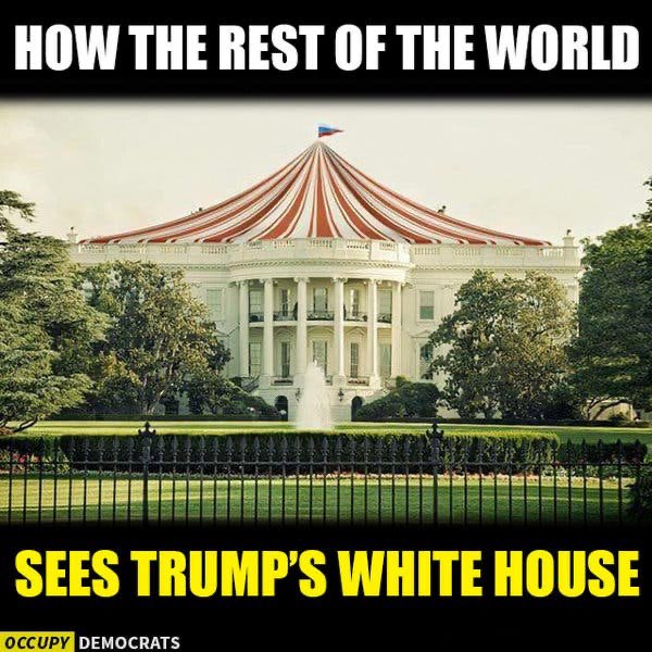 GMahilani's tweet photo. @crzyfkinworld @OReasonStands @4a_of @RoseSage6 @SizzleBeauty @VictoriaLAlbers @BradBeauregardJ @Maltomash @SandyIsRetired @ArresthimNow @drodvik52 @cbradhorton @Missin_Florida @DarwunStJames @LeannRandall15 @Spider2248 @bamableu @MyPenny_x2 @raynadragon @thereal_Hefe Thank you so much FEISTY! You gave me more wonderful #TrueBluePatriots to follow! Love to you ALL!๐๐๐๐๐๐๐๐๐๐๐๐๐๐๐๐๐๐#VoteThemOut2020 #VoteBlue2020 #VoteBlueNoMatterWho2020 ๐๐๐๐๐๐๐๐๐๐๐๐๐๐๐๐๐๐๐๐๐๐๐๐๐๐๐๐๐๐๐๐๐๐๐๐๐๐๐๐๐#Resist https://t.co/MQjXlfjbFF