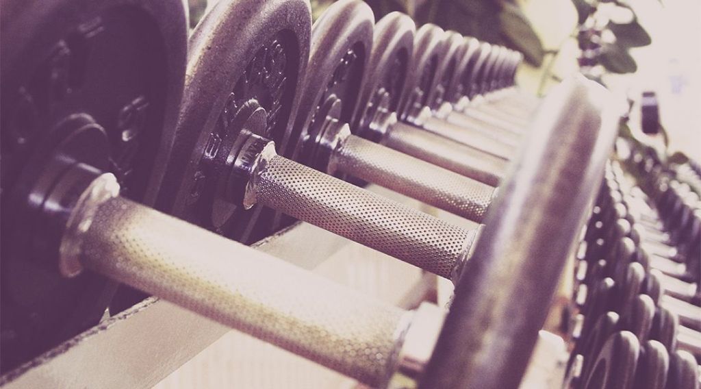 Vestibulum sapin prin quam letsfitnutrition.com/vestibulum-sap…