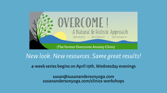 Susan Anderson Yoga tweet media