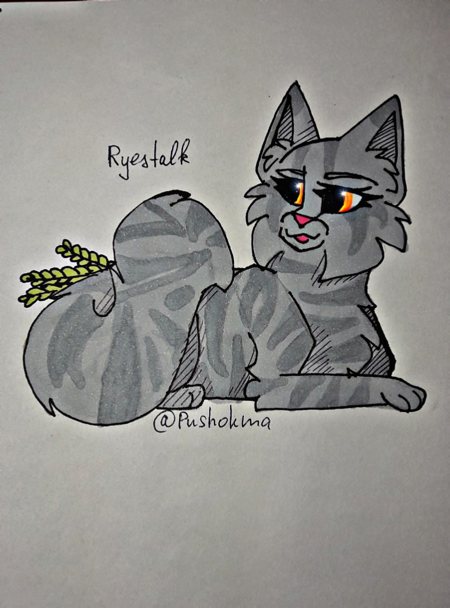SilverM28938407's tweet photo. 🌾Колосница||Ryestalk🌾
#котывоители #котивояки #warriorcats #Колосница #Ryestalk https://t.co/jmvR2b0kse