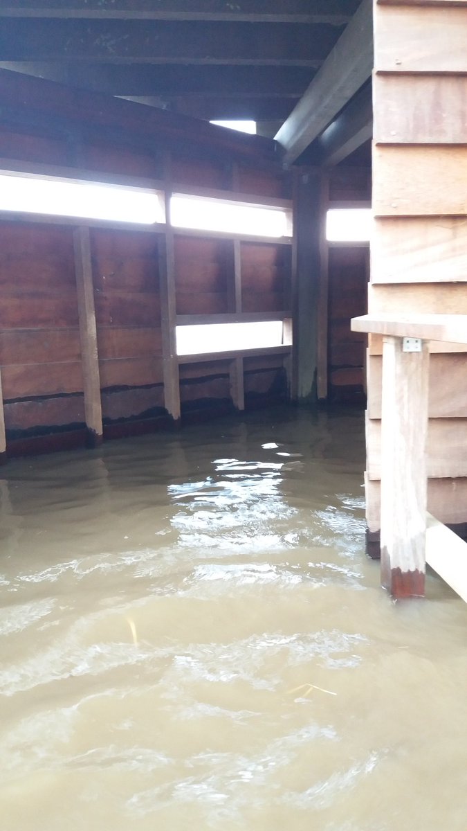 Snorkelend vogels kijken, nieuw concept voor #staatsbosbeheer. Vogelhut #visarend langs het #Haringvliet onder invloed van hoog water! #vogelboulevard #hellegat #ventjager