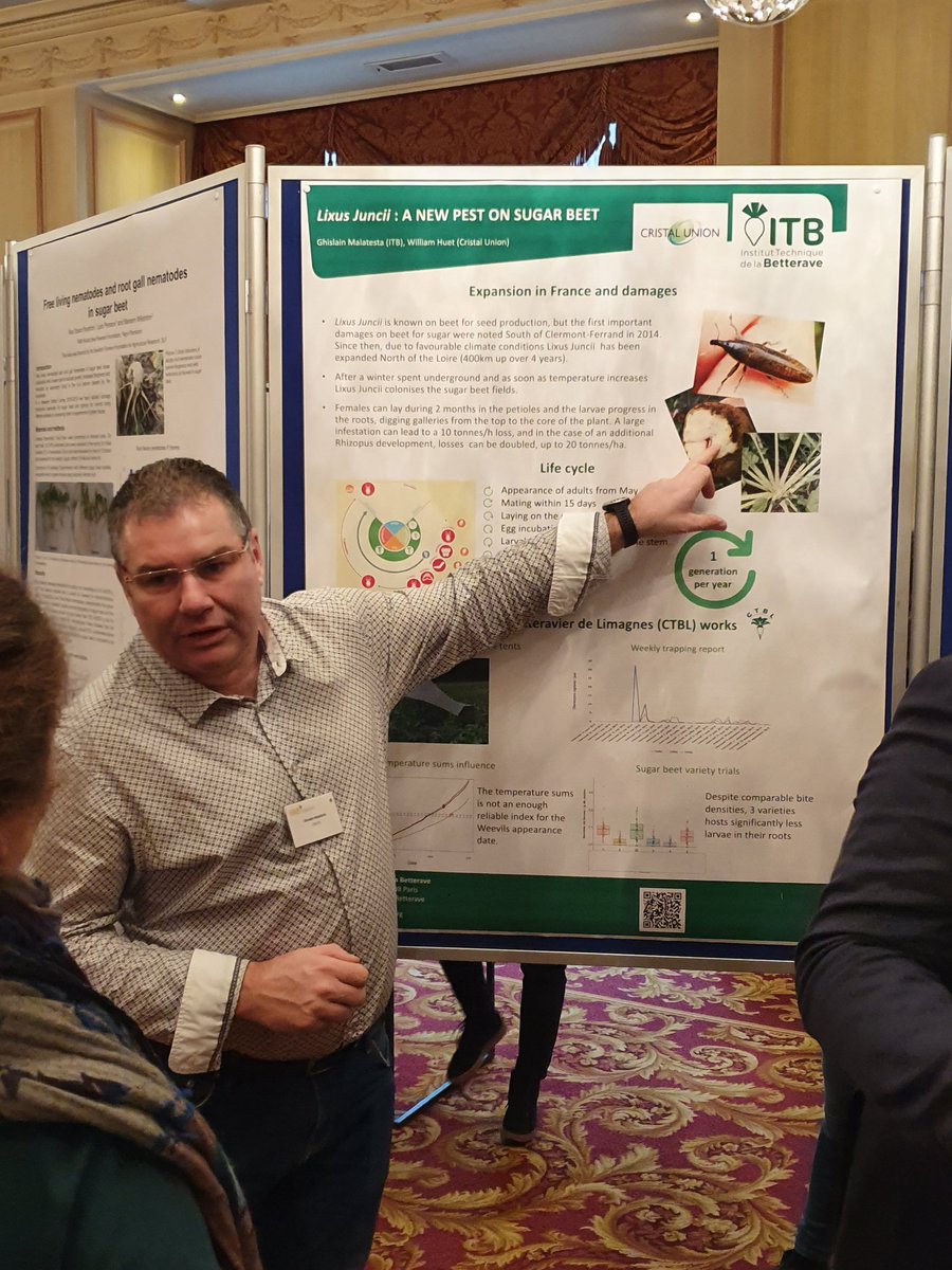 ITBetterave's tweet photo. L'#iirb ce sont aussi des sessions de posters. L'ITB en présente 4 cette année : https://t.co/qSwViXvEQD https://t.co/iHUZoOlRfH