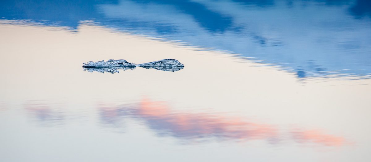 julieannekost's tweet photo. Updates to Lightroom Classic v9.2 (February, 2020)  https://t.co/vmIwJILv3R https://t.co/vV8B7HA5ud