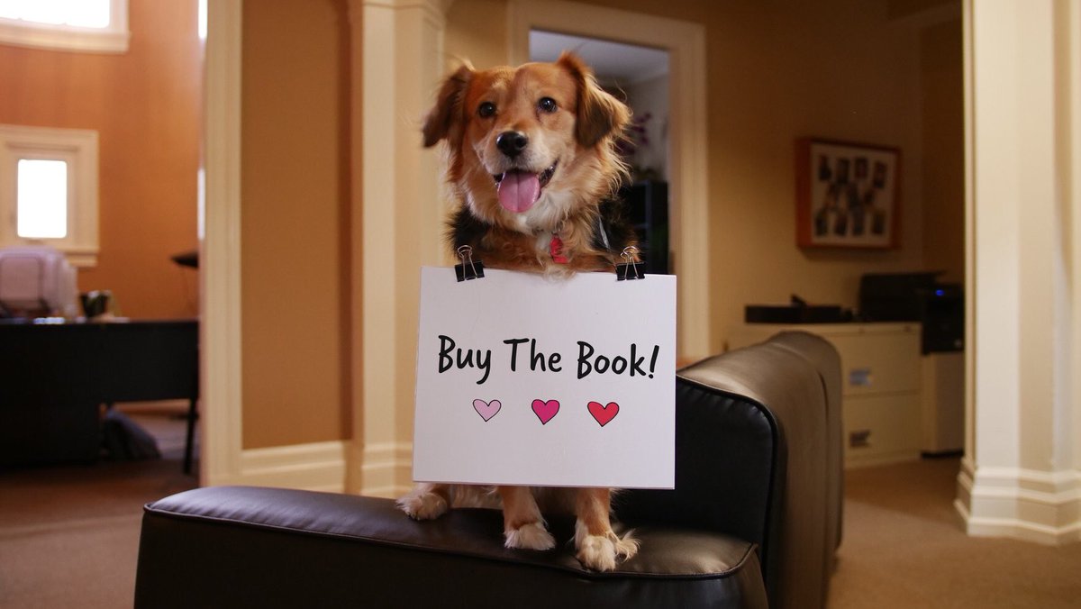 ArcherCom's tweet photo. Buy our original children’s book! "Avery’s No Good, Terrible Ruff Night" is the official #DogentinesDay2020 book, and proceeds help support The Second Hand Dog rescue Inc! Visit https://t.co/aFUSuYO2is to learn more and secure a copy! #animalrescues #roc #fundraiser https://t.co/Z184pRbYAm