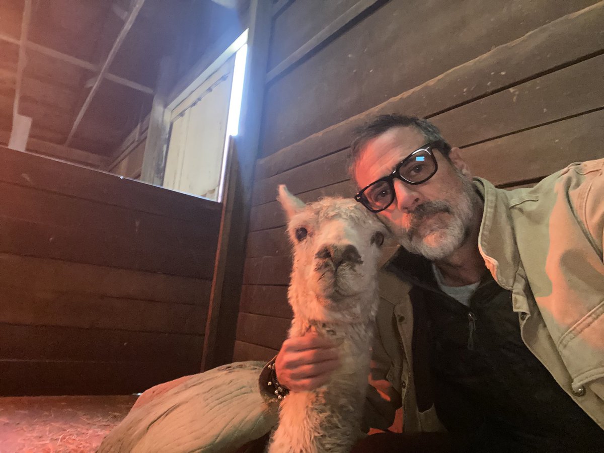 JDMorgan's tweet photo. Well. Lots of stories told. We still here. Cold. Long damn night. Snowball hanging in... and turns out... the best listener I’ve ever known. Gotta try to get him on his feet. We shall see... thanks for all the well wishes. Truly. Xojd https://t.co/QXFf4CkYBe