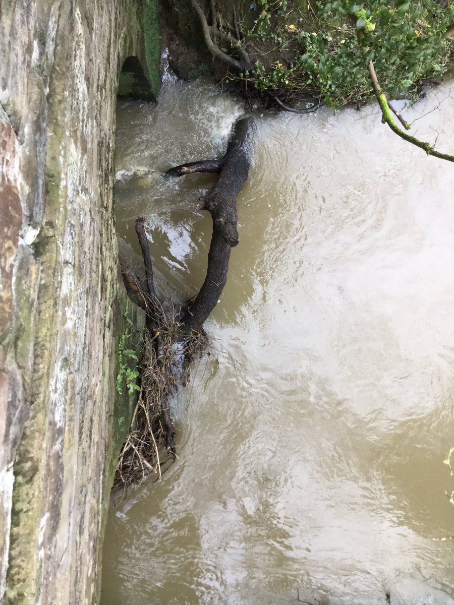 Paul_Reeves's tweet photo. We need to ensure that blockages on bridges and culverts are removed as soon as possible to prevent #floodrisk to nearby properties. Our #Derbyshire field team have been removing fallen trees and branches on the #BottleBrook near #LittleEaton in the wake of #StormCiara. https://t.co/jZV574TvMK